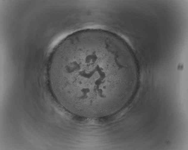 X0000113041263200908271457