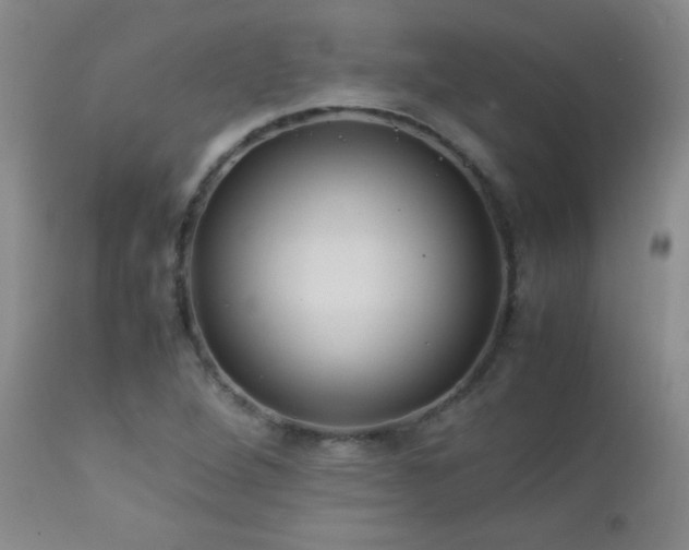 X0000113041264200908271457