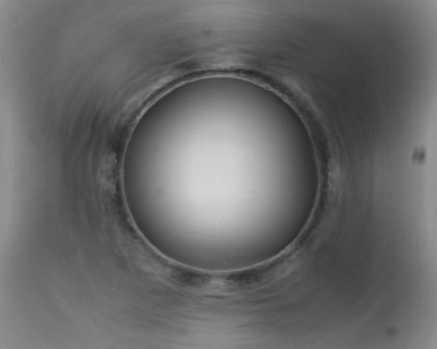 X0000113041265200908271457