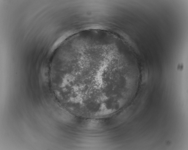 X0000113041266200908271457