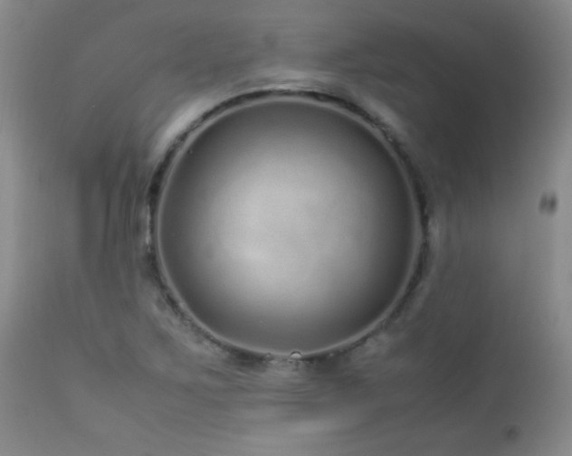 X0000113041267200908271457