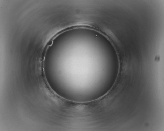 X0000113041268200908271457