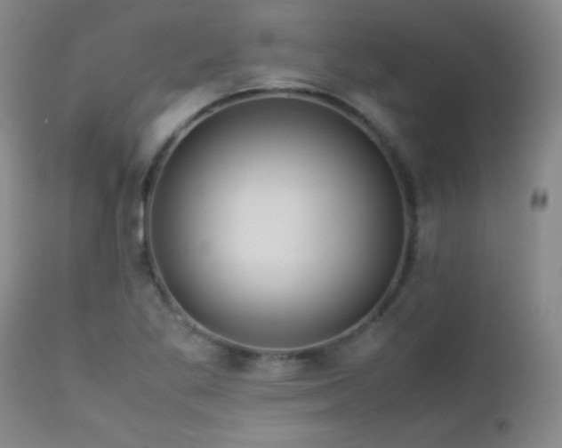 X0000113041269200908271457