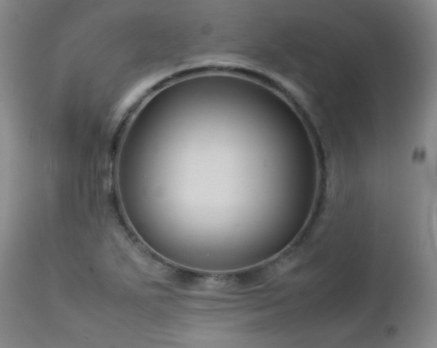 X0000113041271200908271457