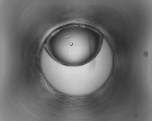 X0000113041272200908271457
