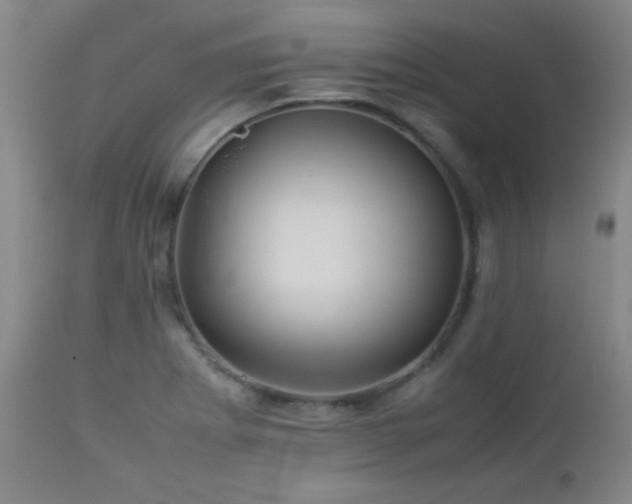 X0000113041273200908271457