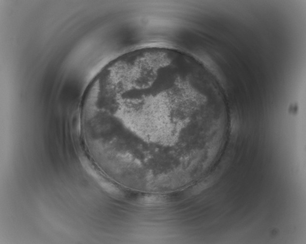 X0000113041274200908271457