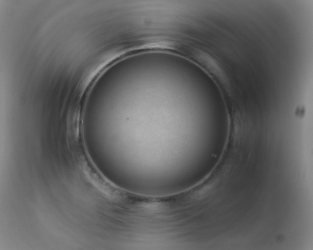 X0000113041276200908271456