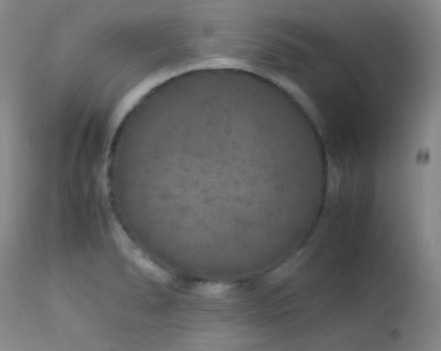 X0000113041278200908271456