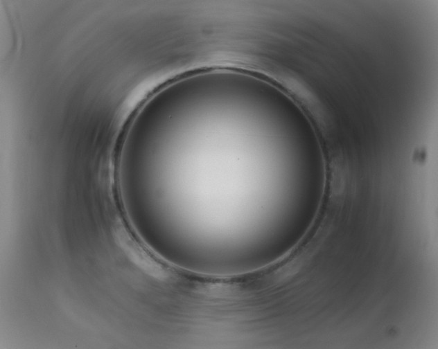 X0000113041280200908271456