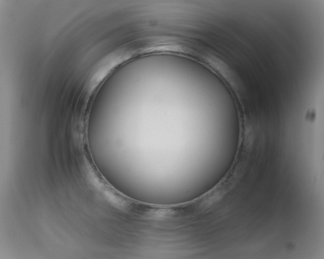 X0000113041282200908271456