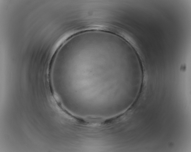 X0000113041283200908271456
