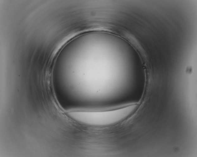 X0000113041284200908271456