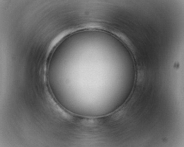 X0000113041286200908271456