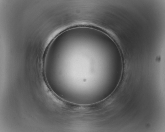 X0000113041287200908271456