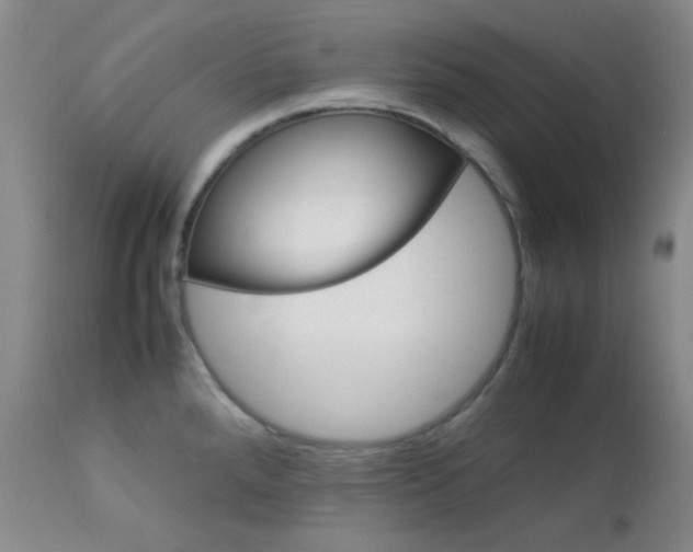X0000113041288200908271456