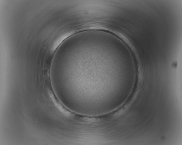 X0000113041289200908271456