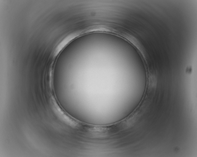 X0000113041290200908271456
