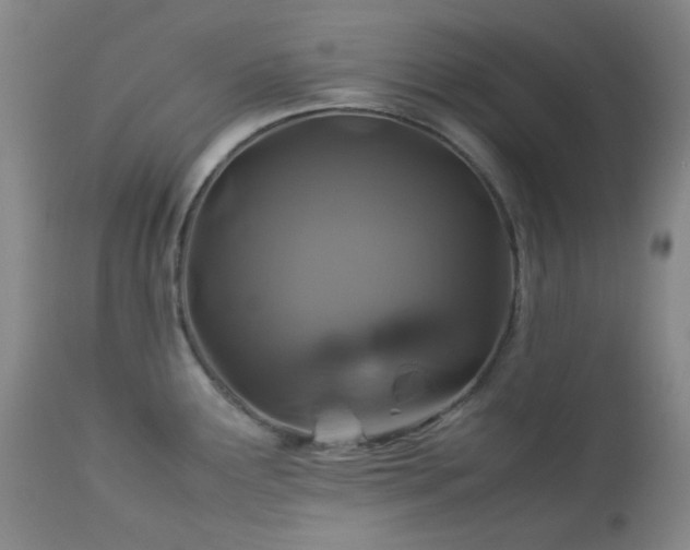 X0000113041291200908271456