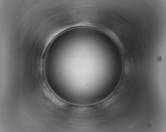 X0000113041292200908271456