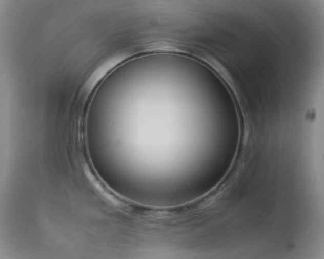 X0000113041293200908271456