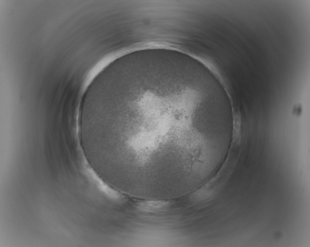X0000113041294200908271456