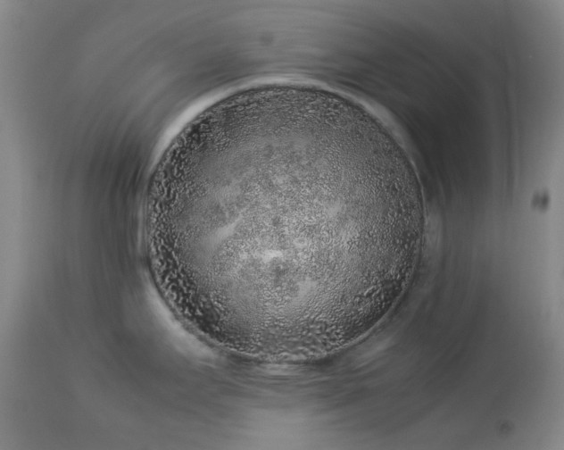 X0000113041295200908271456