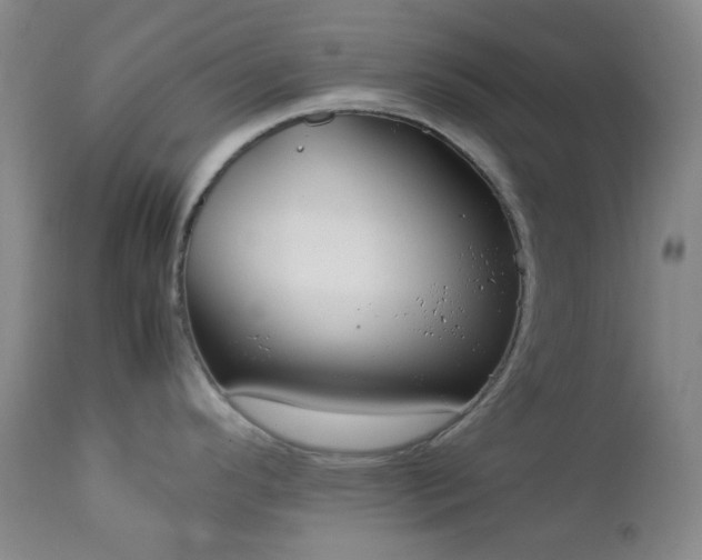 X0000113041296200908271456
