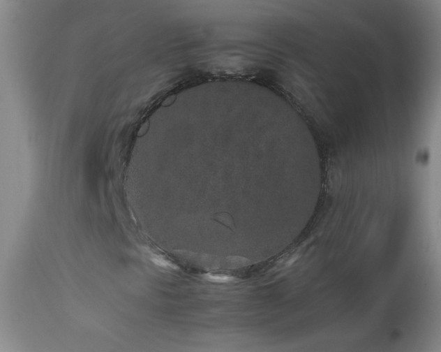 X0000113041297200908271455