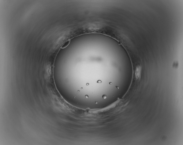 X0000113041299200908271455