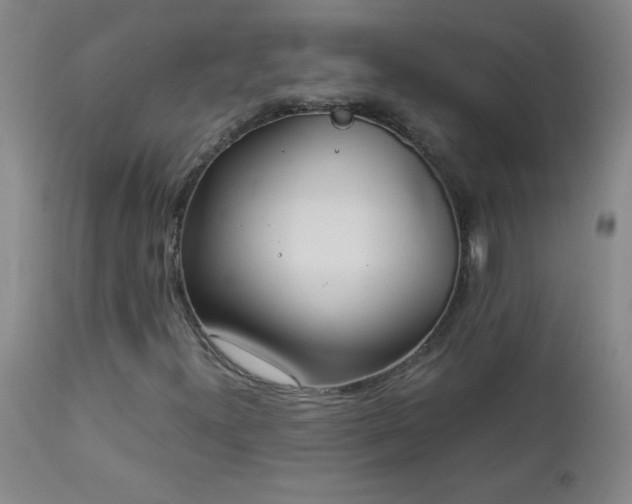X0000113041300200908271455