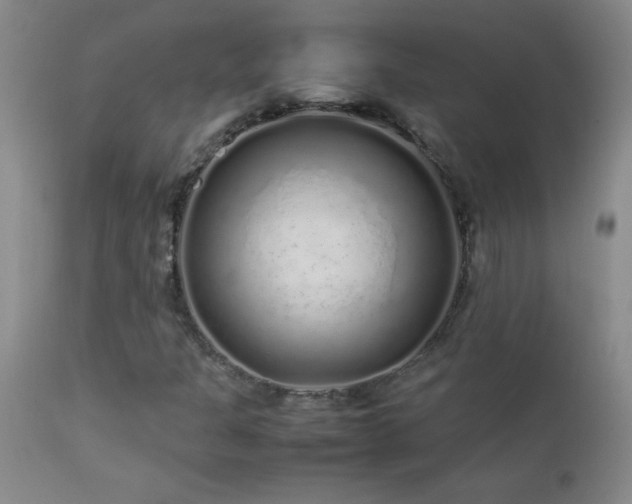 X0000113041301200908271455