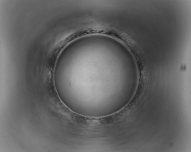X0000113041302200908271455