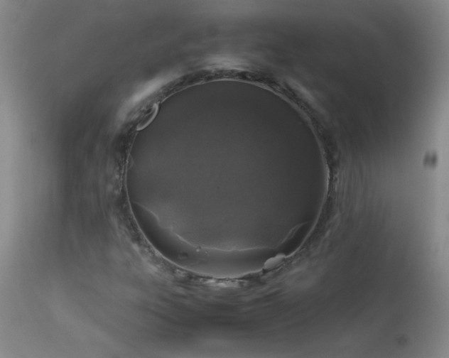 X0000113041303200908271455