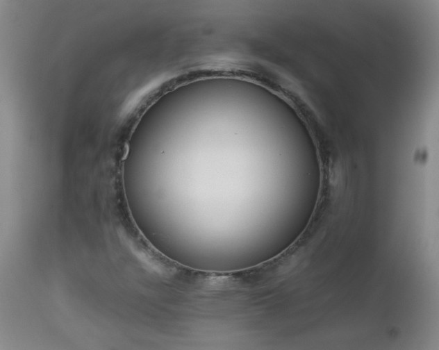 X0000113041304200908271455