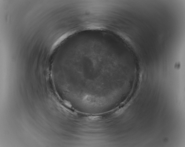 X0000113041306200908271456