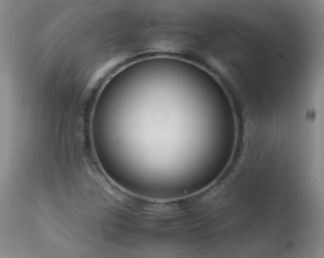 X0000113041307200908271456