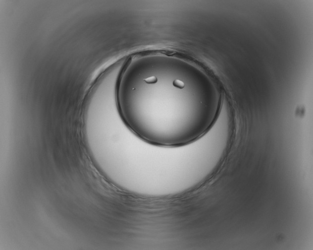 X0000113041308200908271456