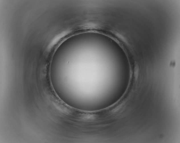 X0000113041309200908271456