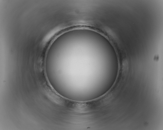 X0000113041310200908271456