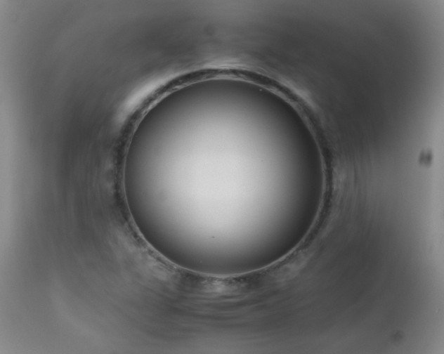 X0000113041311200908271456