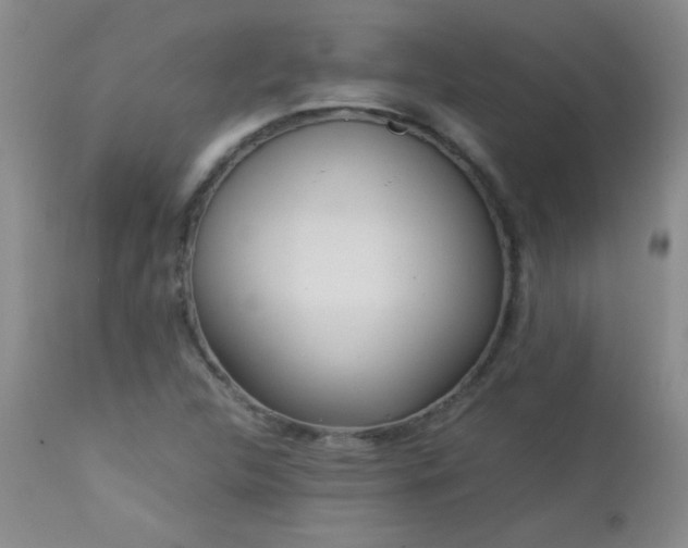 X0000113041312200908271456