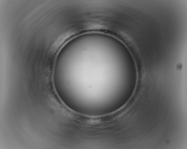 X0000113041313200908271456