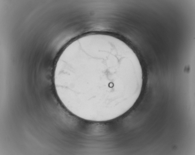 X0000113041314200908271456