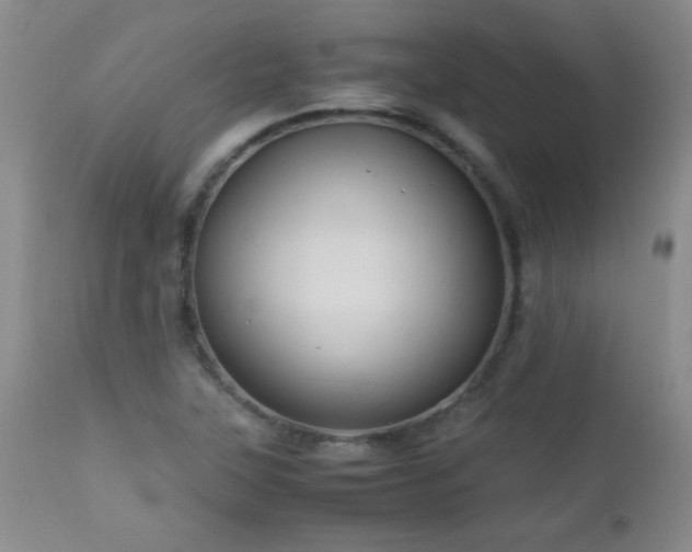 X0000113041315200908271456