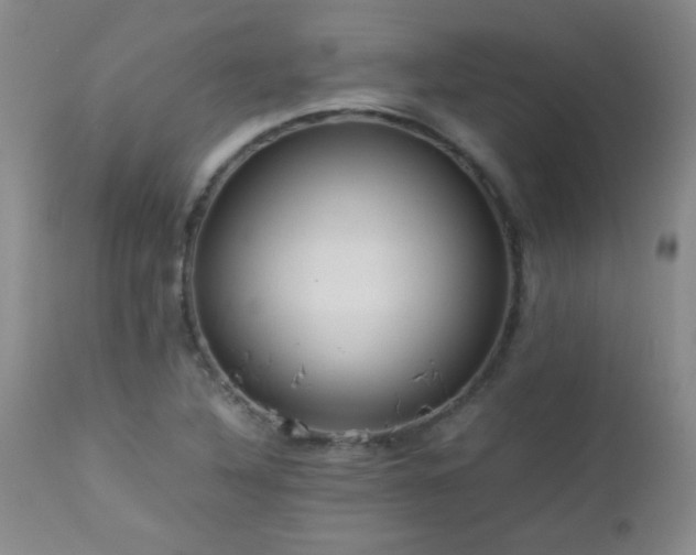 X0000113041316200908271456