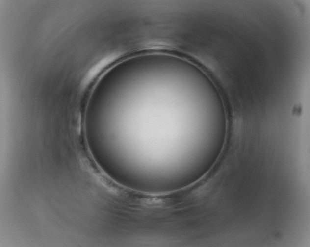 X0000113041317200908271456