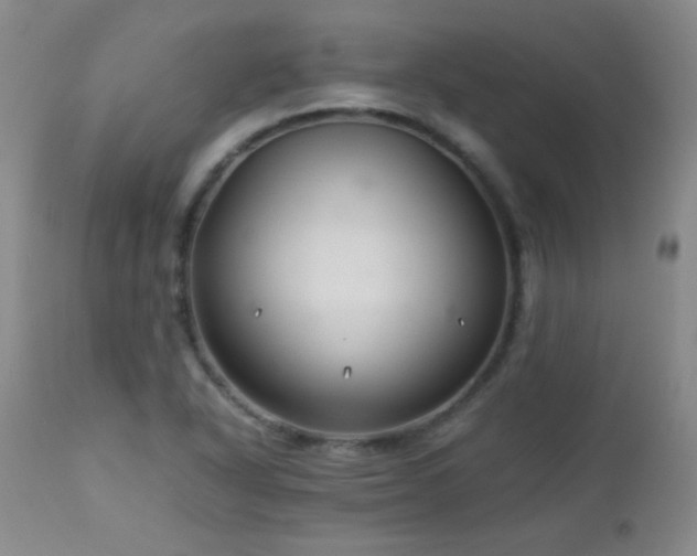 X0000113041318200908271456