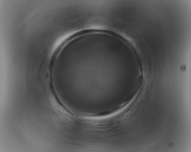 X0000113041319200908271456