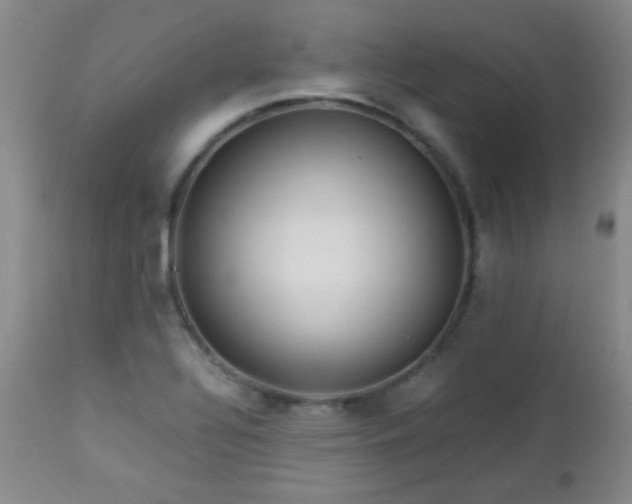 X0000113041320200908271456